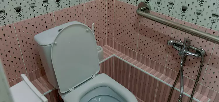 Meeting Diverse Needs With Accessible Restroom Solutions in Calabasas, CA