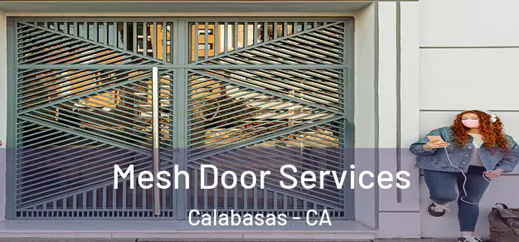 Mesh Door Services Calabasas - CA